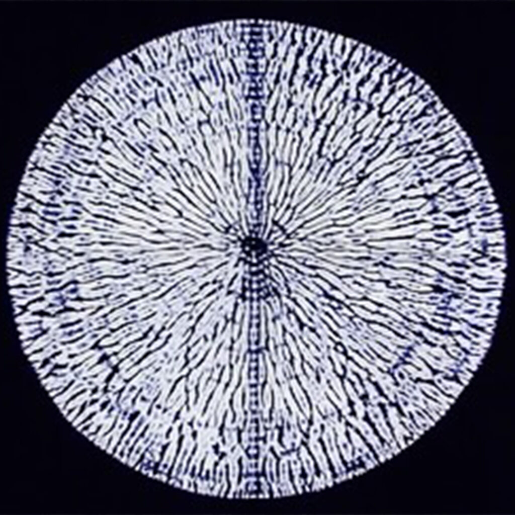 おびや絞り祭 in 有松　有松鳴海絞り 熊谷さんとコラボ